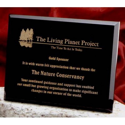 Laser Engraved Onyx Plaque (9"x12")